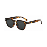 Dotted Series Panto Vintage Sunglasses for Men & Women - Demi Grey